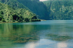 Grüne Landschaft auf  Sao Miguel