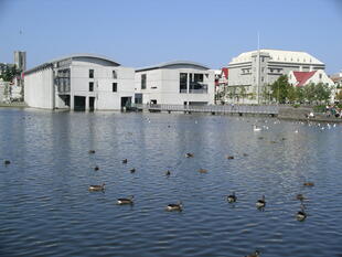 Rathaus von Reykjavík