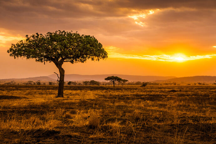 Sonnenuntergang in der Serengeti