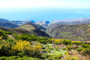 Hochplateau Paúl da Serra