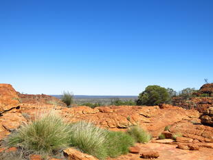 Kings Canyon 