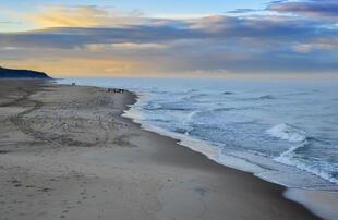 Ostseeküste an der Kurischen Nehrung