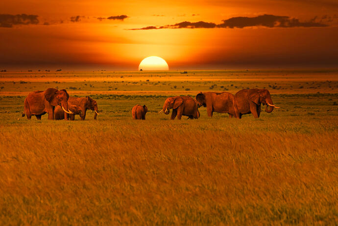 Sonnenuntergang Tsavo West