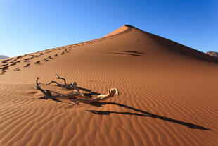 Dünen in der Namib Wüste