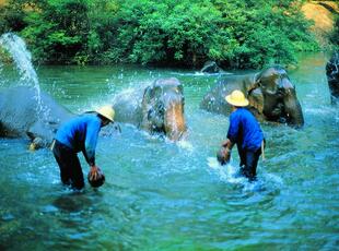 Maenner im Wasser 