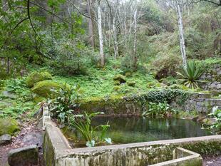 Monchique Gebirge