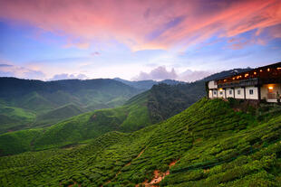 Sonnenuntergang in den Cameron Highlands 