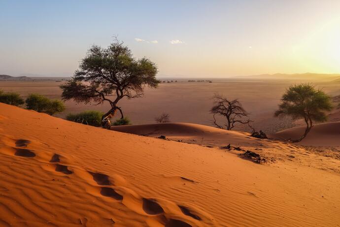 Kalahari Wüste, Namibia