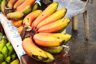 Bananen in Costa Rica