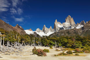 Mount Fitz Roy