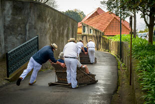 Traditionelle Schlittenfahrer