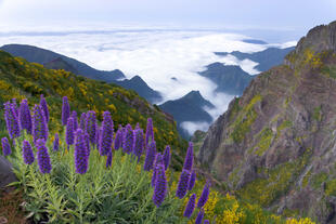 Ausblick Pico do Arieiro 