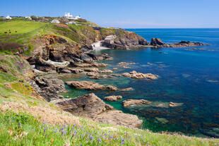 Lizard Point