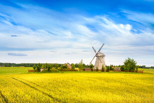 Hölzerne Windmühle