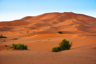 Sanddünen von Erg Chebbi