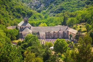 Senanque Panorama