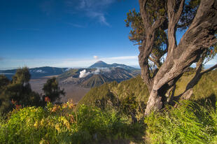 Blick auf Bromo