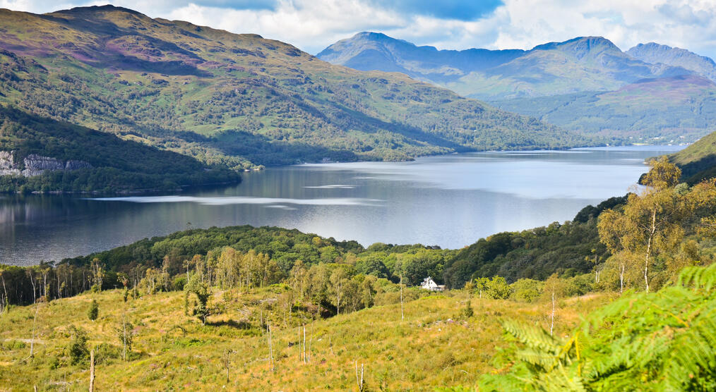 Blick auf den Loch Lomond