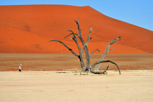 Deadvlei