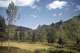 Landschaft in der Usambara Bergen