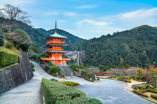 Nachi Taisha Schrein in Kumano