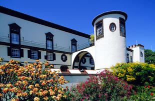 Funchal, Madeiras Hauptstadt