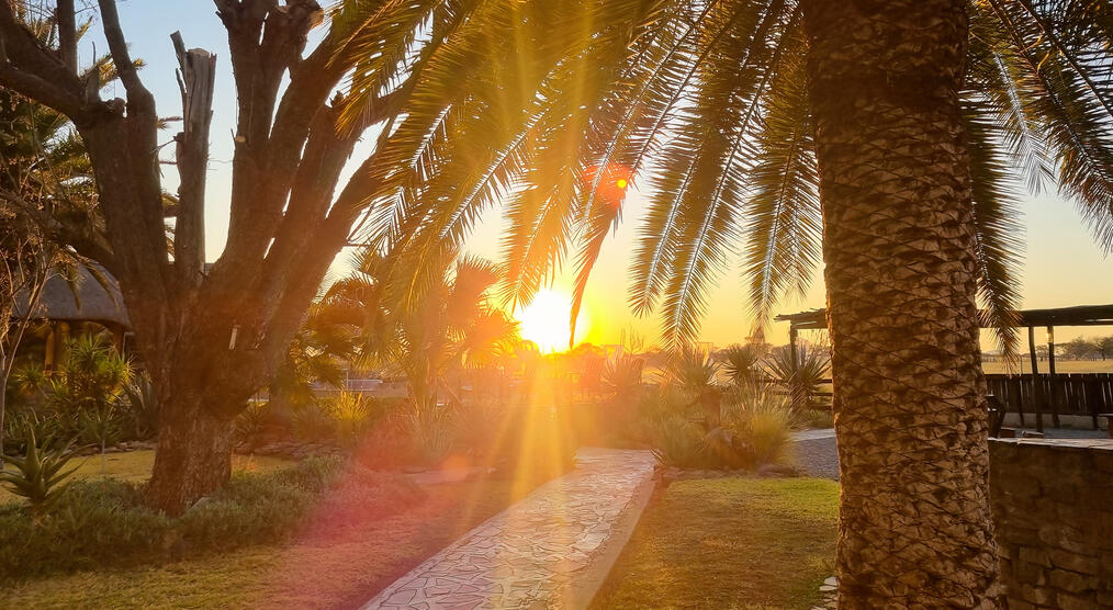 Garten bei Sonnenuntergang