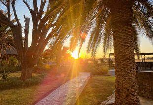 Garten bei Sonnenuntergang