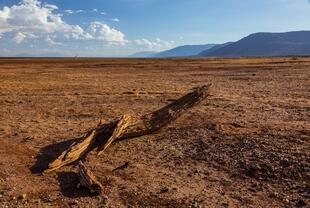 Lake Manyara Nationalpark bei Trockenzeit