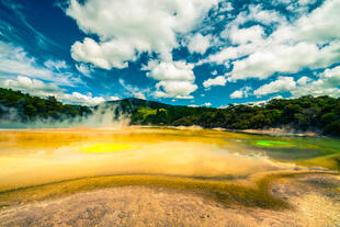 Landschaft Rotorua 