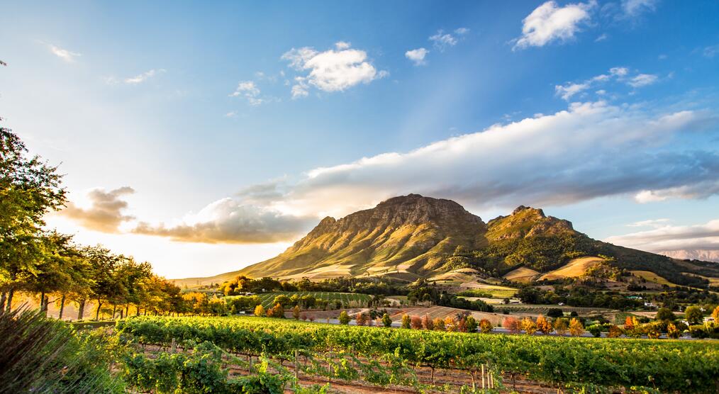 Stellenbosch