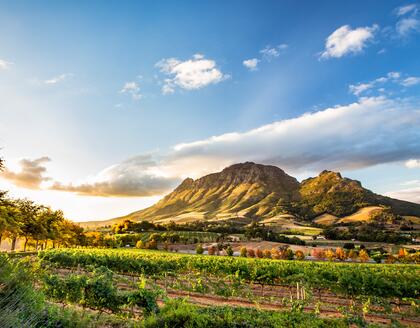 Stellenbosch