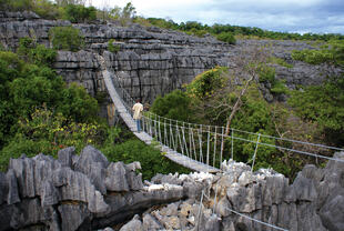 Suspension Bridge von Ankarana