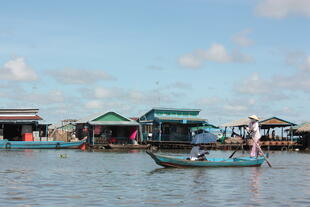 Mekong Delta 