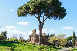 Via Appia Antica