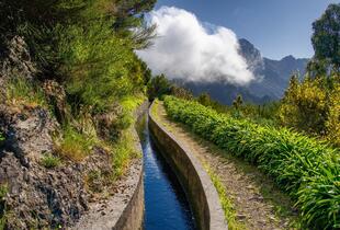 Levada do Norte