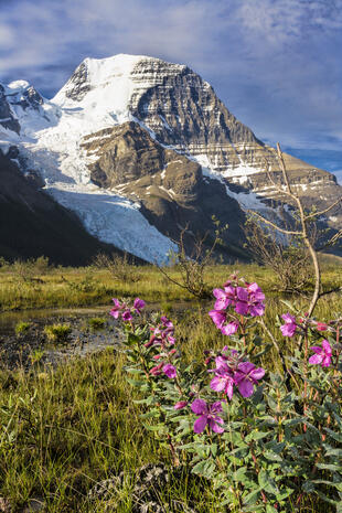 Mount Robson 