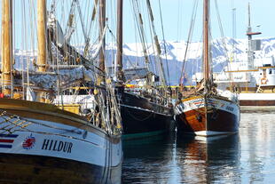 Boote im Hafen 