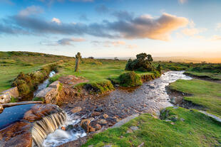 Ein Bach im Dartmoor Nationalpark in Devon, umgeben von üppigem Grün. Das klare Wasser fließt sanft durch die felsige Landschaft.