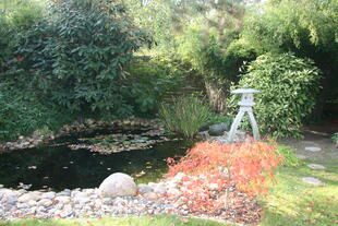 Idyllischer Gartenteich 