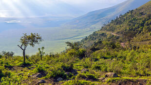 Ngorongoro-Krater