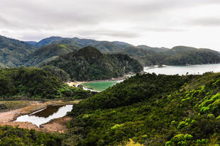 Strände im Abel Tasman National Park