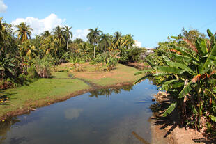 Baracoa