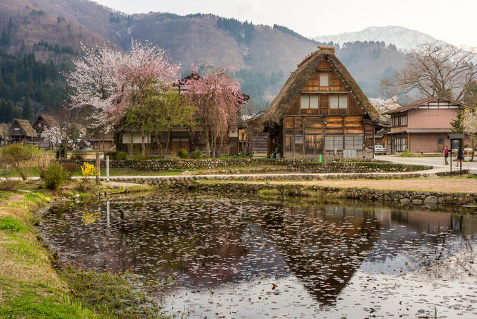 Shirakawago 