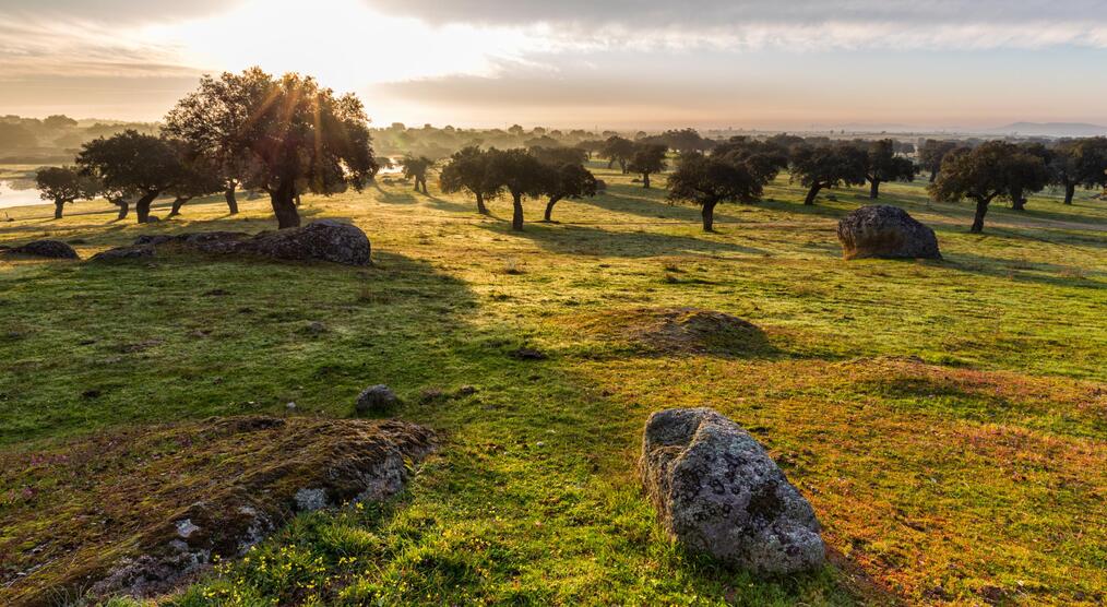 Sonnenuntergang Extremadura Spanien Reisen