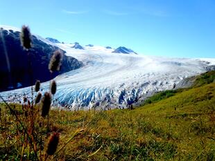 Exit-Gletscher