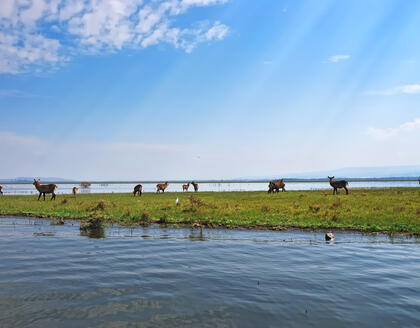 Lake Naivasha