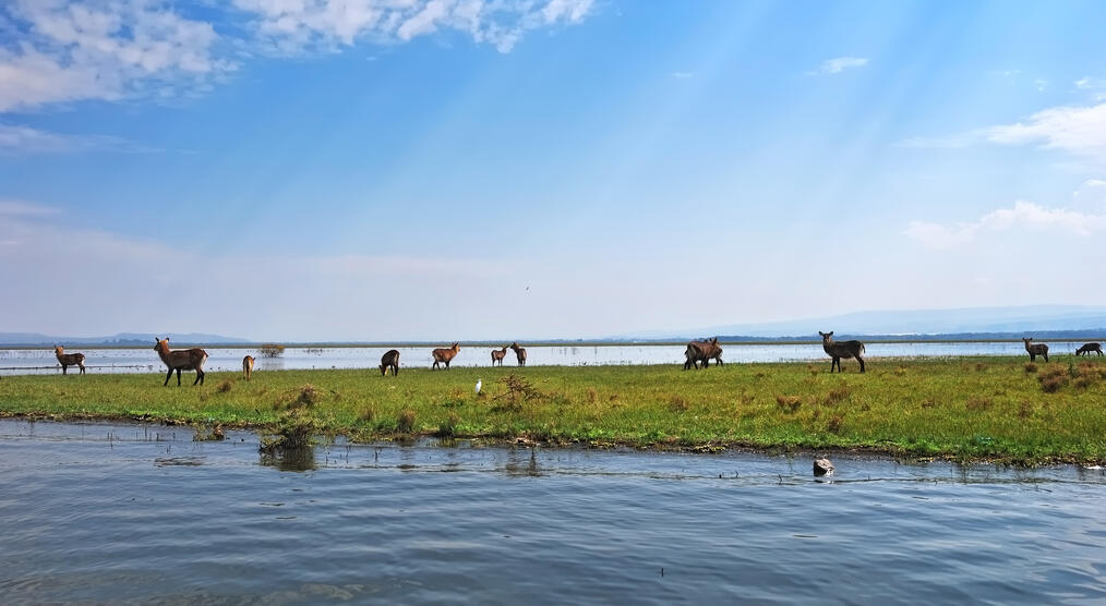 Lake Naivasha