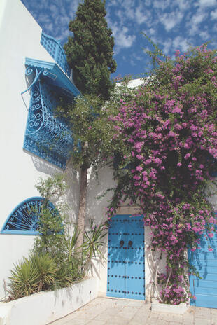 Sidi Bou Said 