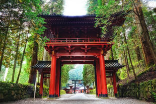 Tyaiyu-In-Tempel in Nikko